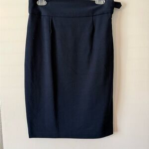 Navy Pencil Skirt
